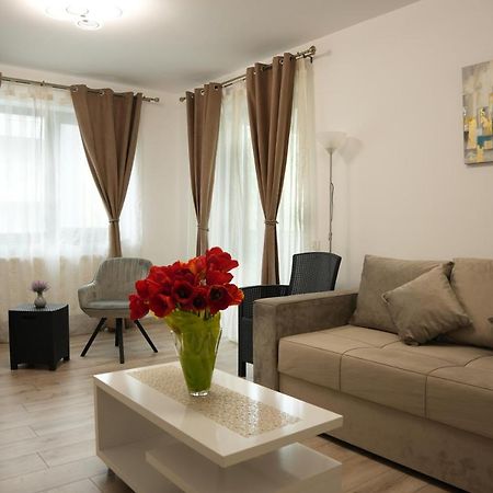 Brigitte Apartment Braşov Exteriör bild